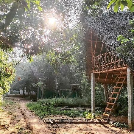 Hotel Art Forest Auroville Exterior foto