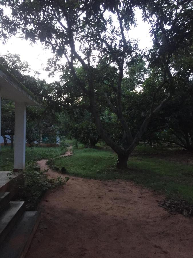Hotel Art Forest Auroville Exterior foto